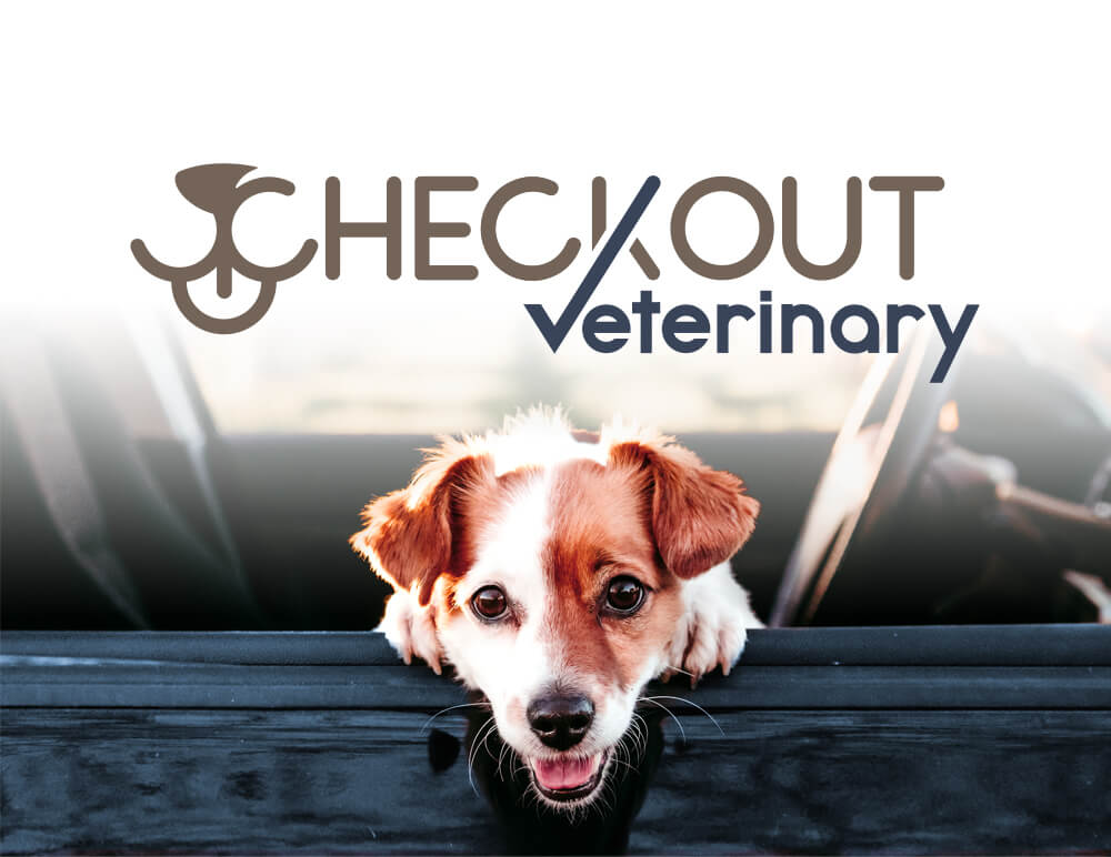 Checkout Veterinary Logo Design