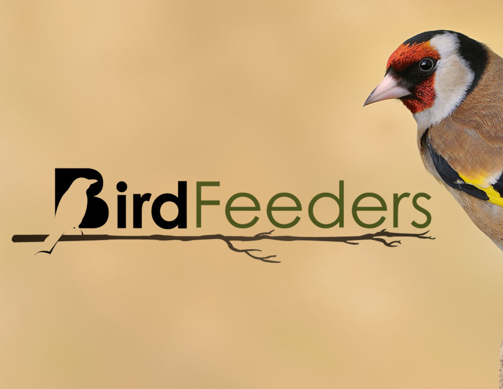Bird Feeders Logo