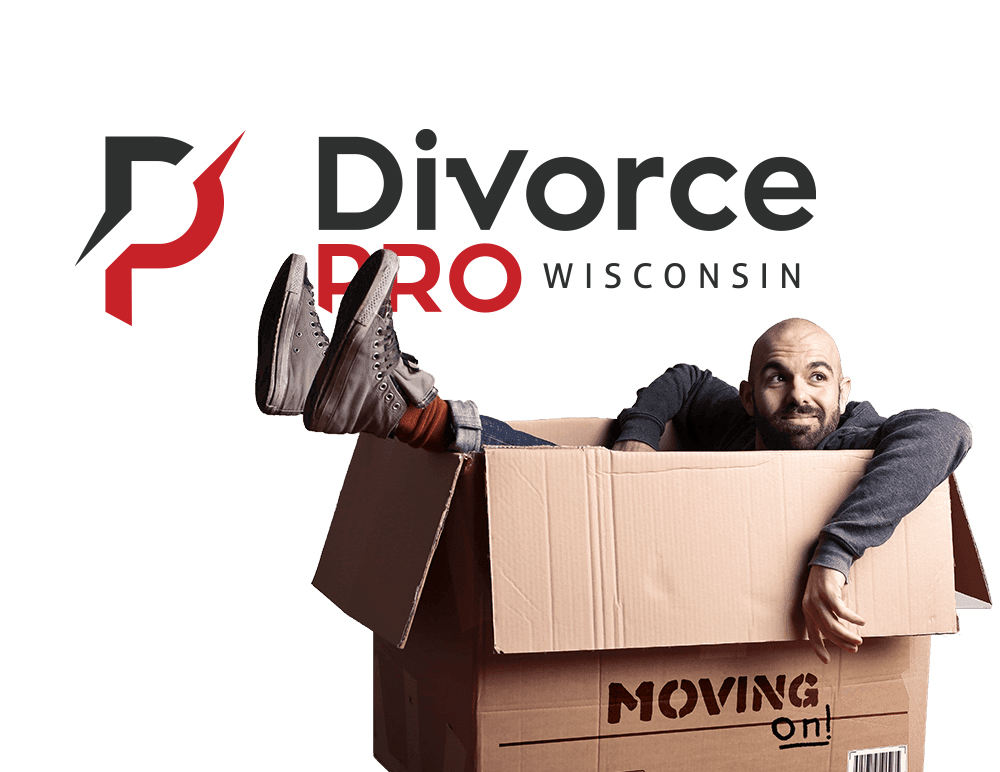 Divorce Pro Logo Design