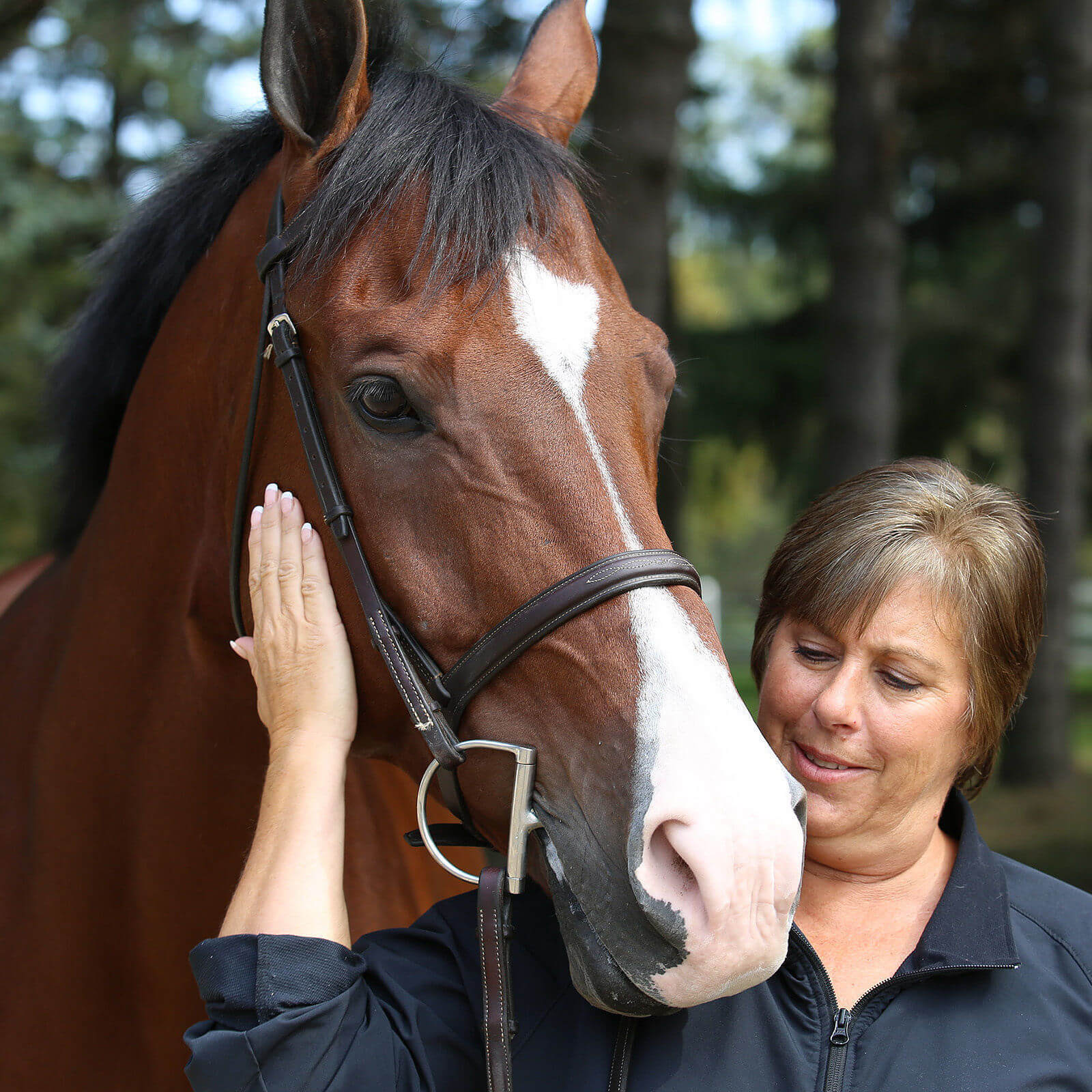 Galway Farm Horses Taken by iNET